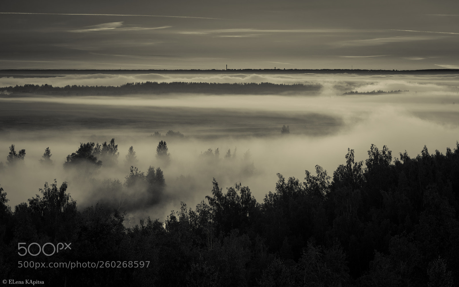 Nikon D810 sample photo. Mist photography