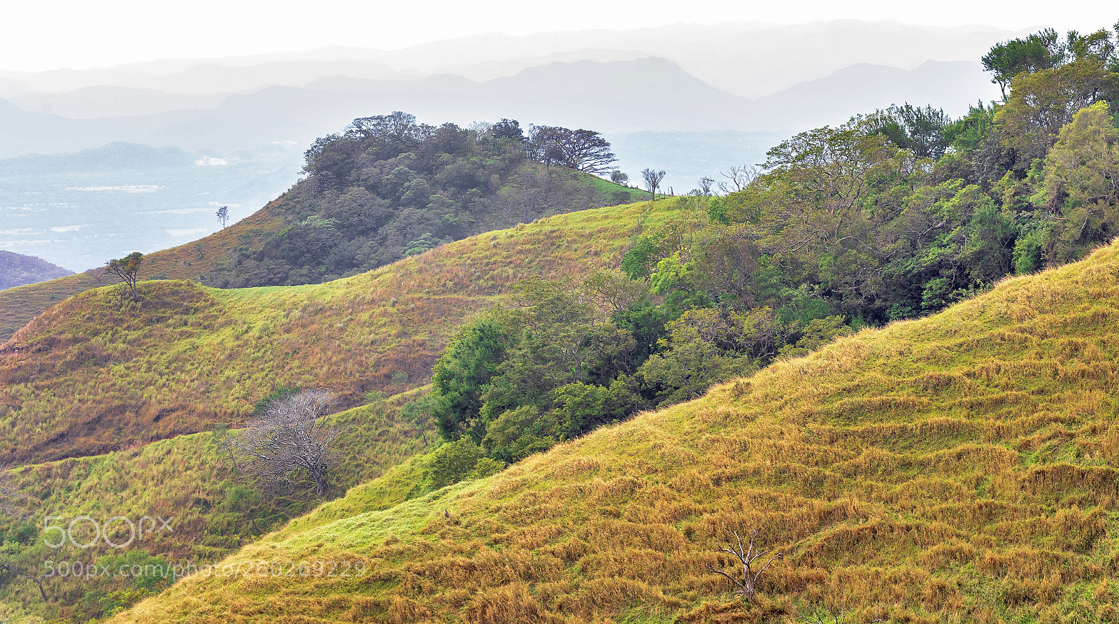 Canon EOS 5D Mark IV sample photo. Mountains from monteverde 4 photography