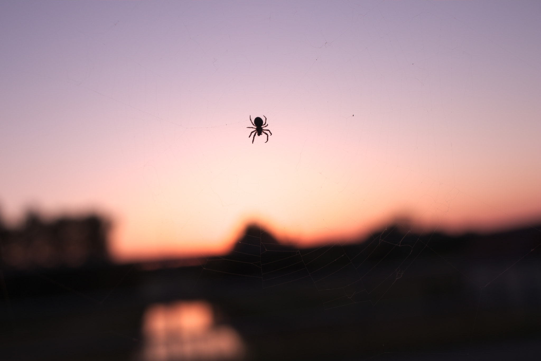 Canon EF-S 24mm F2.8 STM sample photo