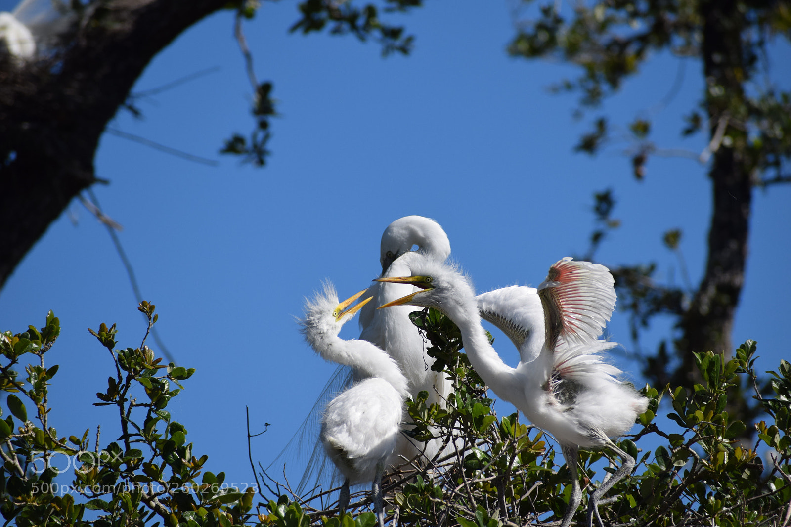 Nikon D5300 sample photo. Stop it !!!!!! photography