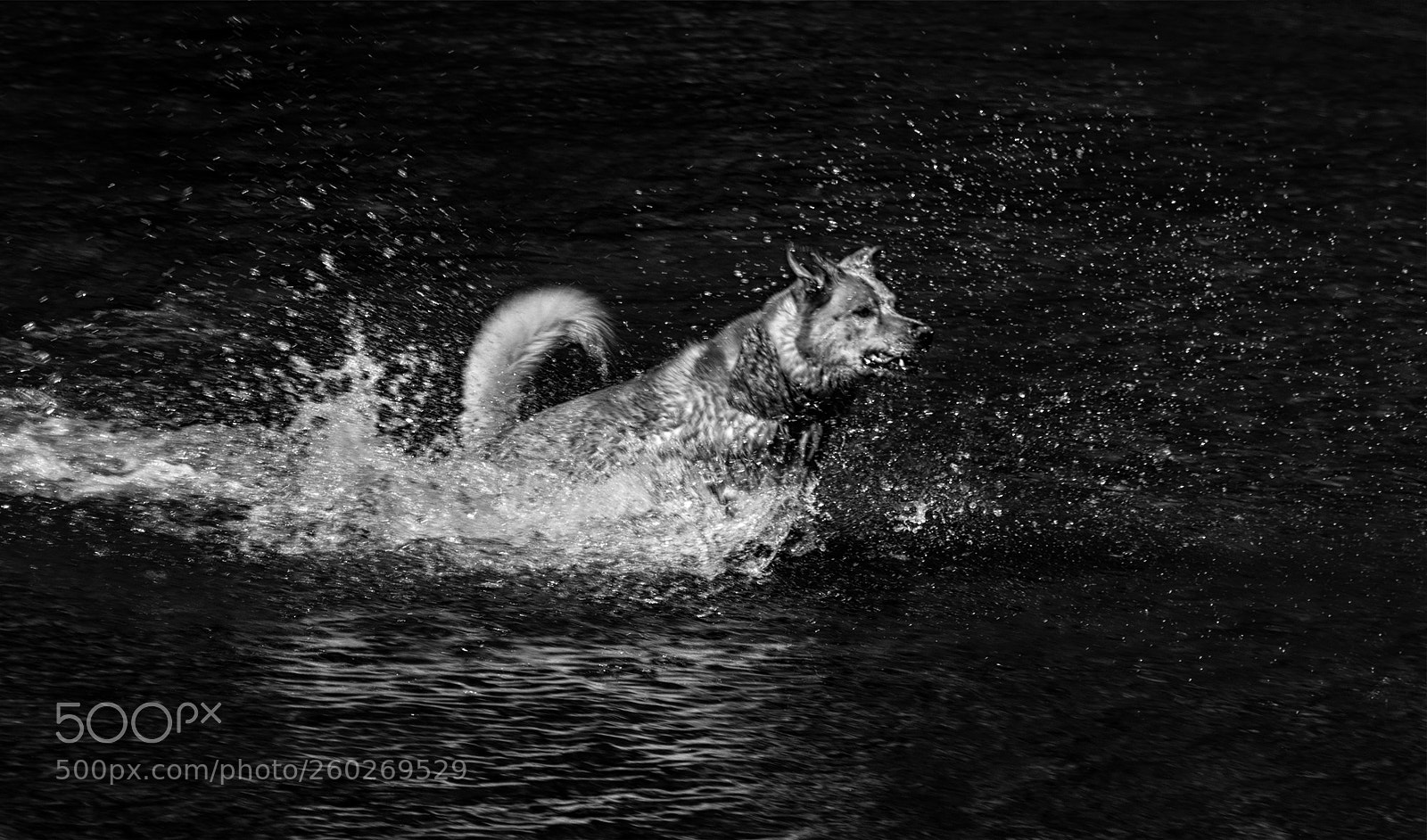 Sony a6500 sample photo. Splash photography