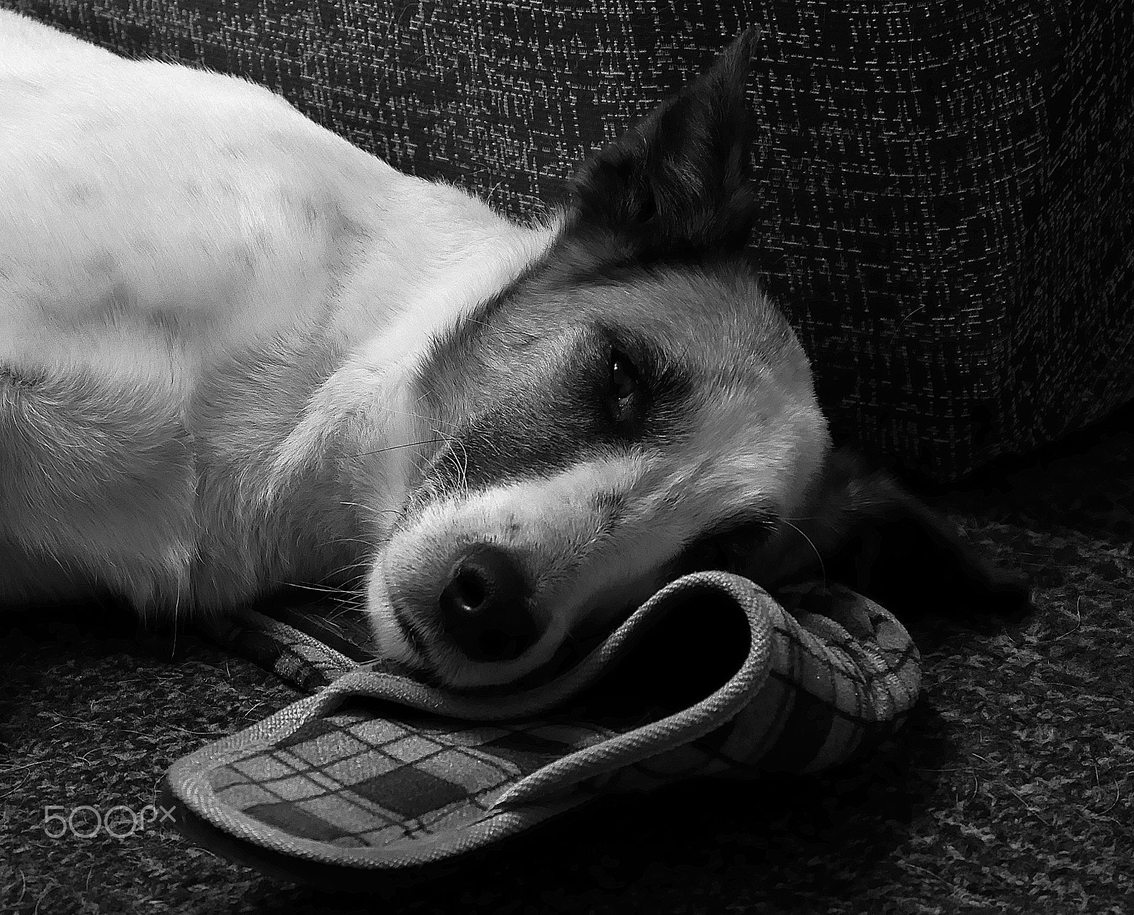 Panasonic DC-TZ200 sample photo. The slippers keeper photography
