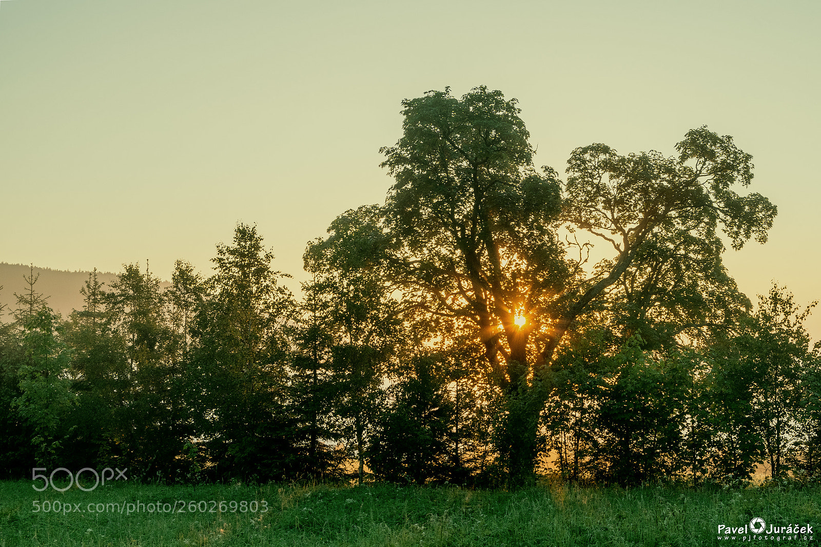 Nikon D5600 sample photo. Šumava jaro 2018 ... 009. photography
