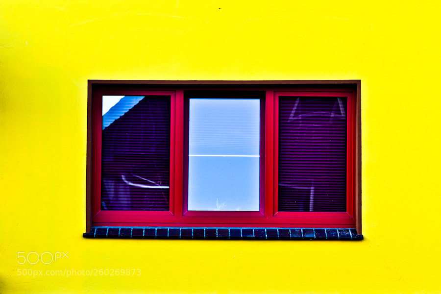 Nikon D3100 sample photo. Quadro in giallo photography