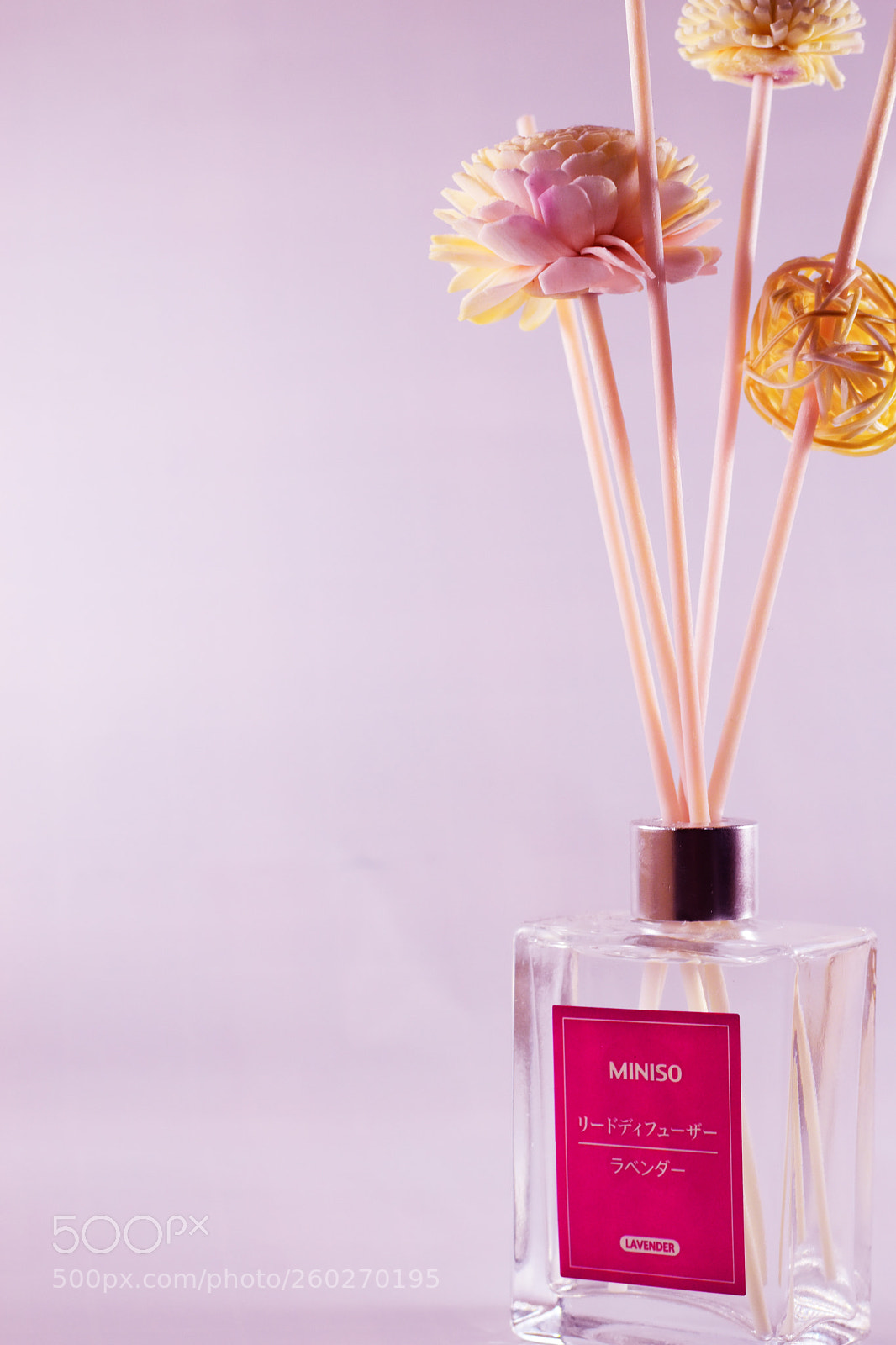 Nikon D5600 sample photo. Product photography photography