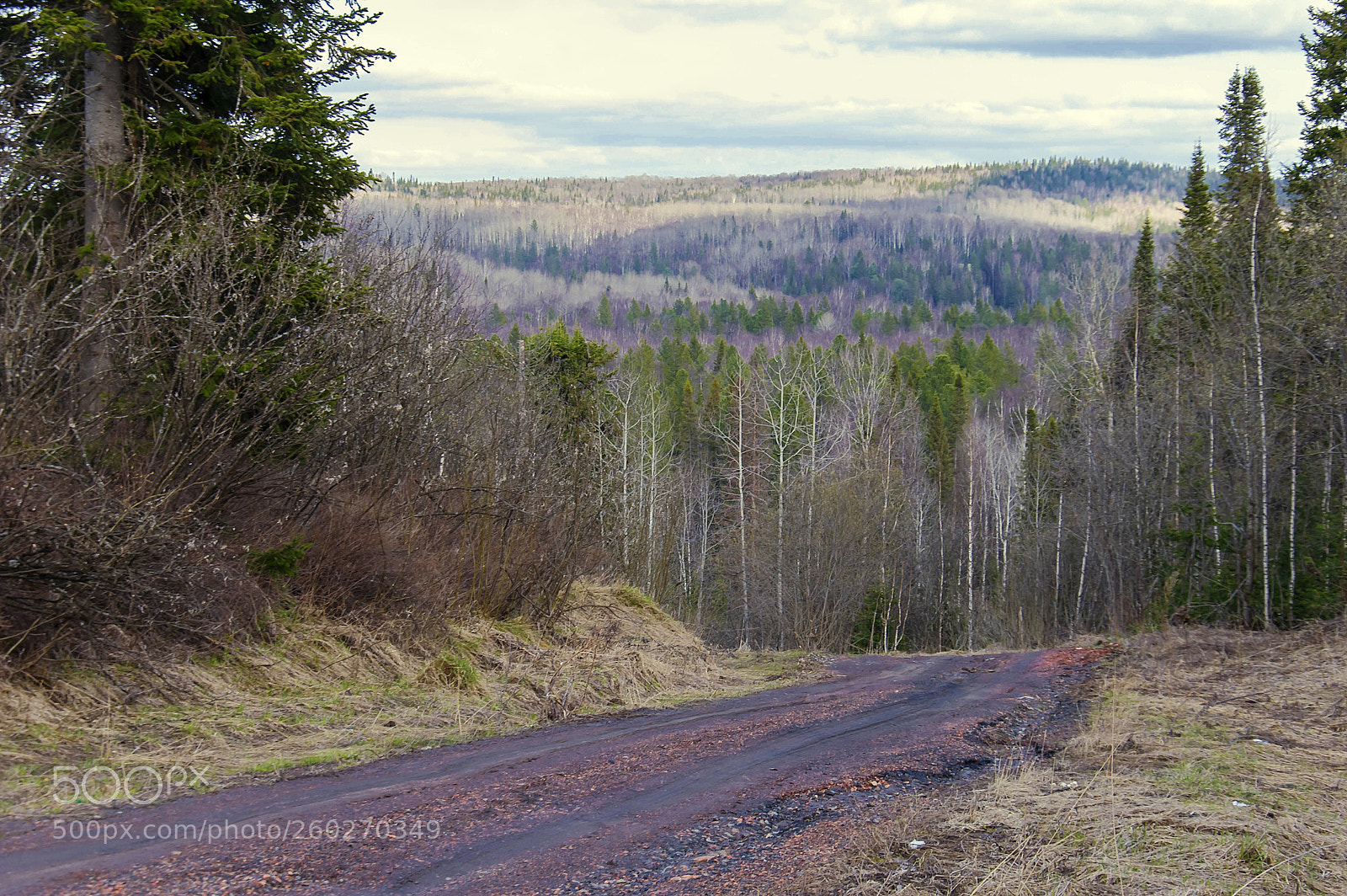 Nikon D3200 sample photo. По просёлочной дороги photography
