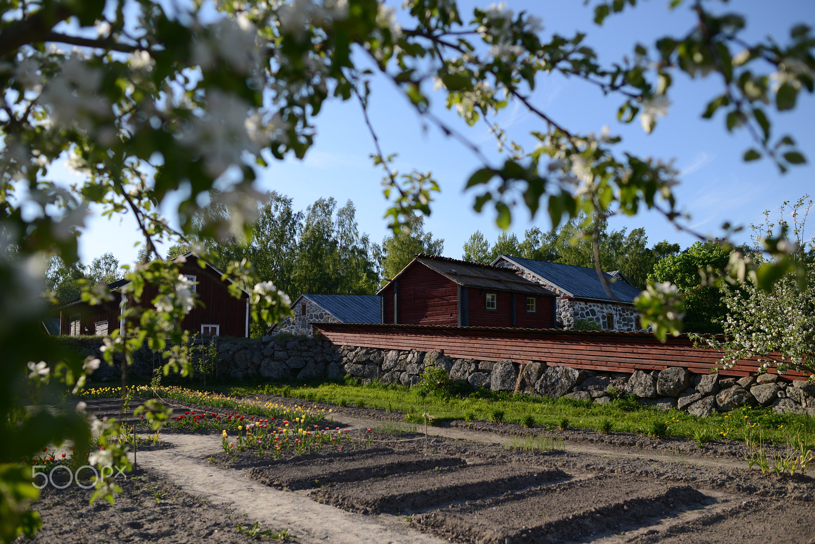 Nikon D800 sample photo. Garden and museum photography