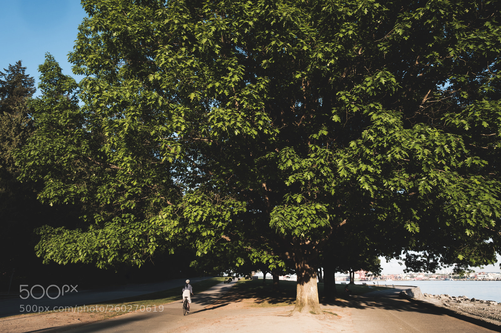 Fujifilm X-H1 sample photo. Cycling the stanley park photography