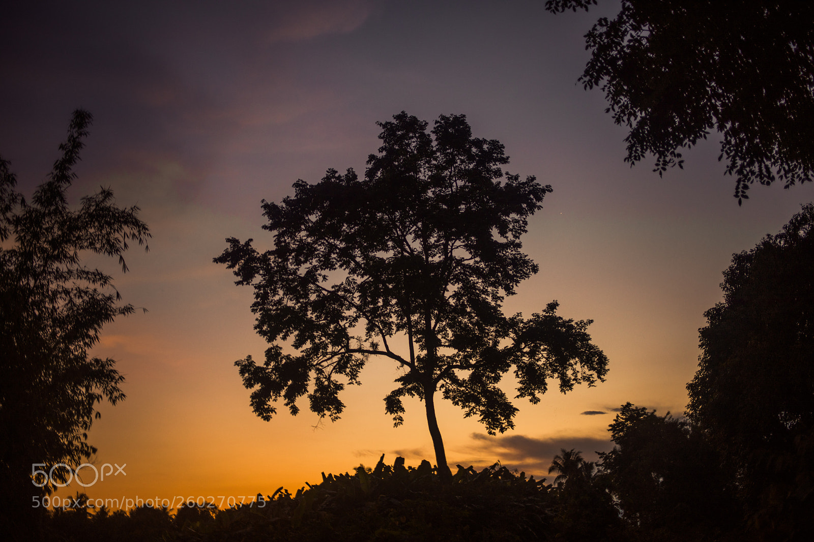 Canon EOS 5D Mark IV sample photo. Every day is an photography