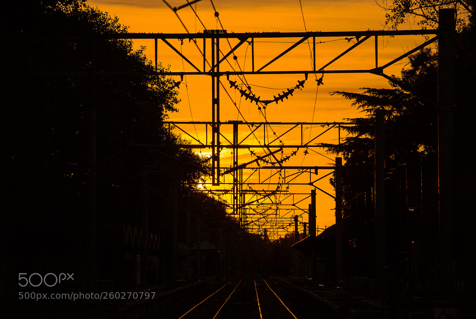 Nikon D3000 sample photo. - atardece el tren - photography