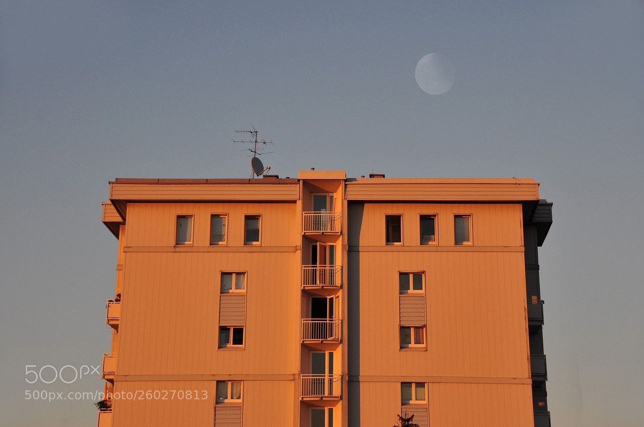 Nikon D90 sample photo. Portale photography