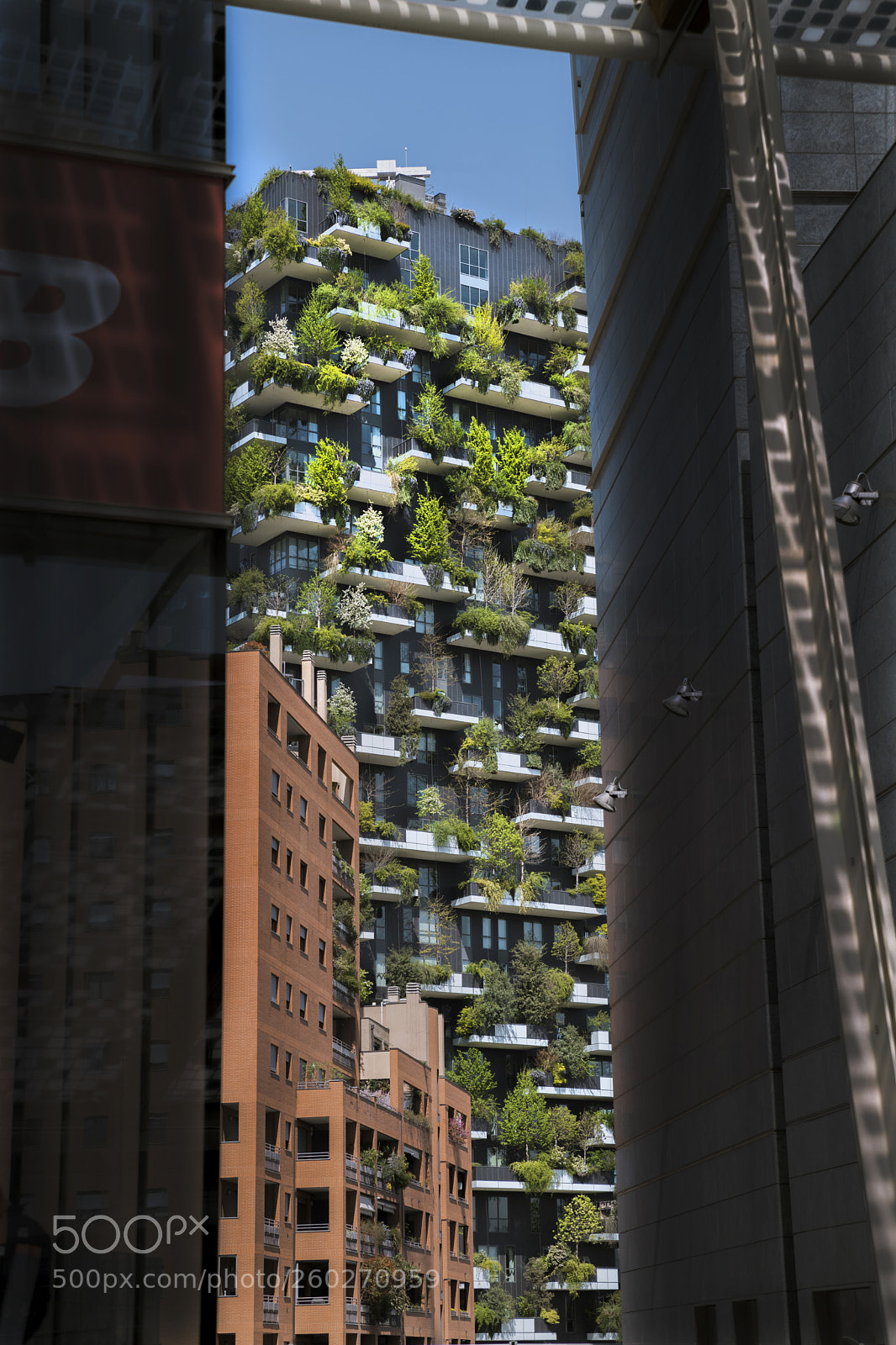 Canon EOS 6D Mark II sample photo. Bosco verticale photography