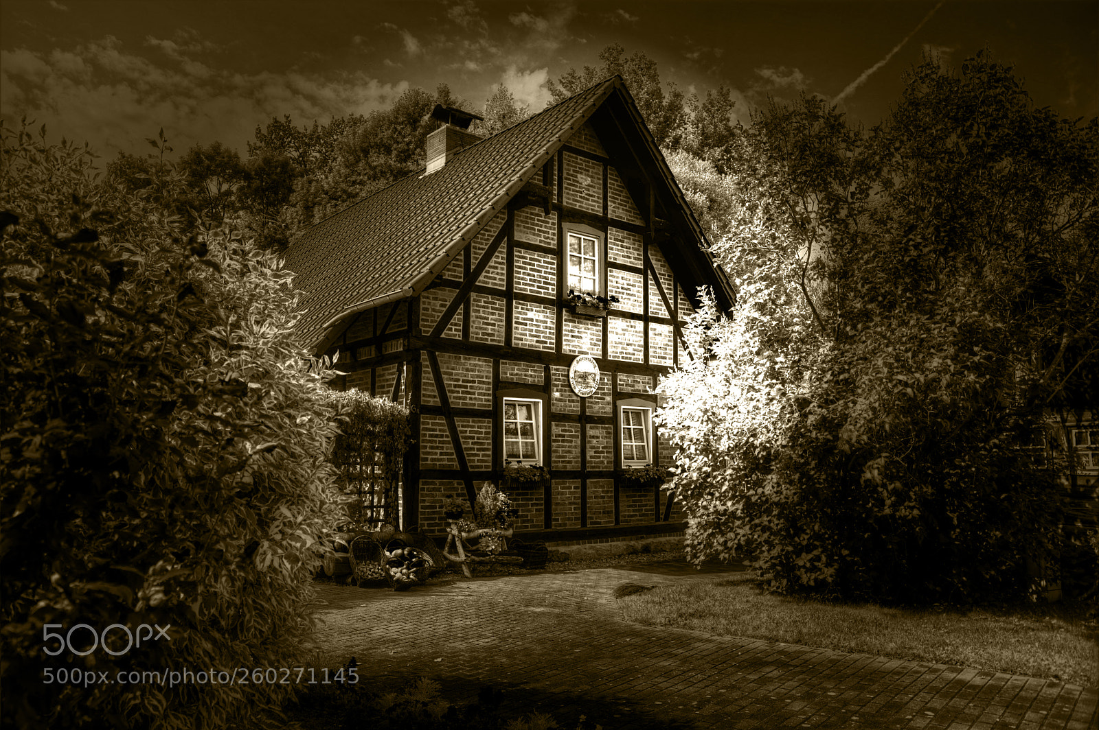 Sony ILCA-77M2 sample photo. Lehde photography
