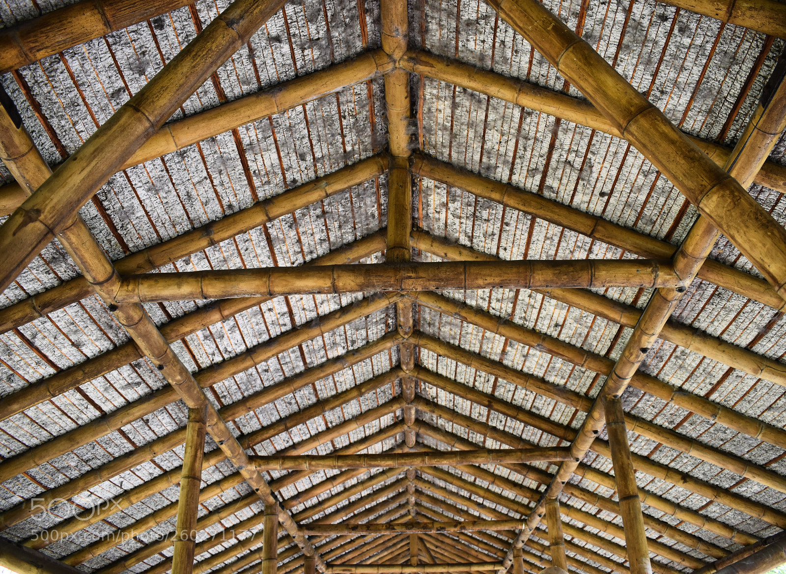 Nikon D5600 sample photo. Ceiling shaper photography