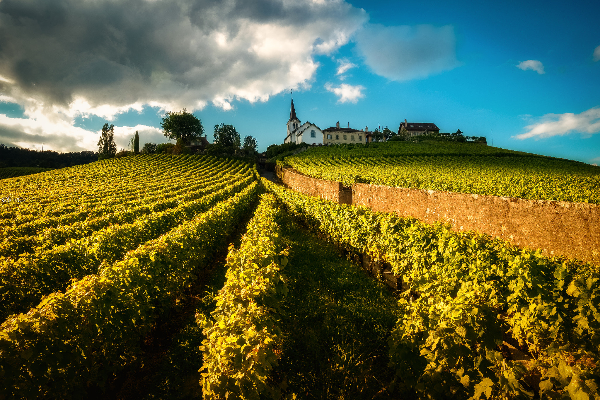 Fujifilm X-Pro1 sample photo. Winemakers land photography