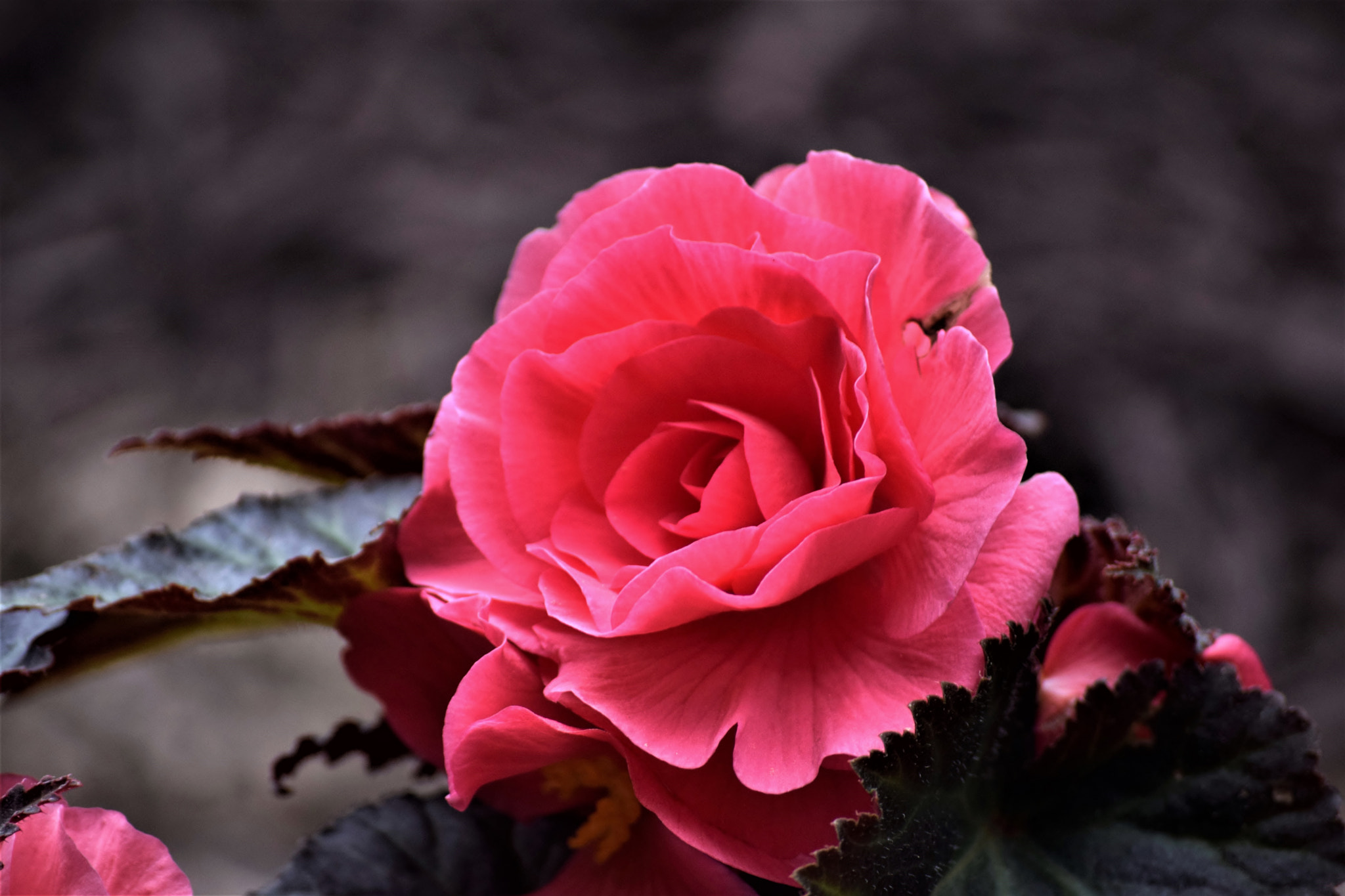 Nikon D5300 sample photo. "a silent place..." photography