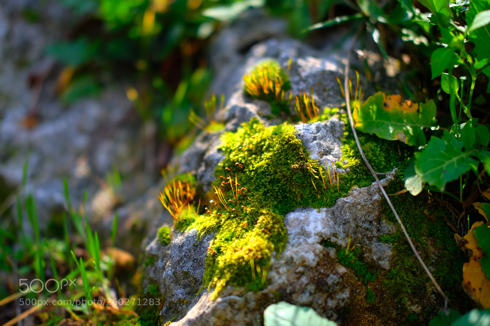 Fujifilm X-T20 sample photo. Untitled photography