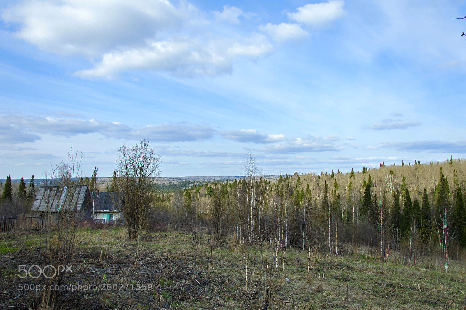 Nikon D3200 sample photo. Без названия photography