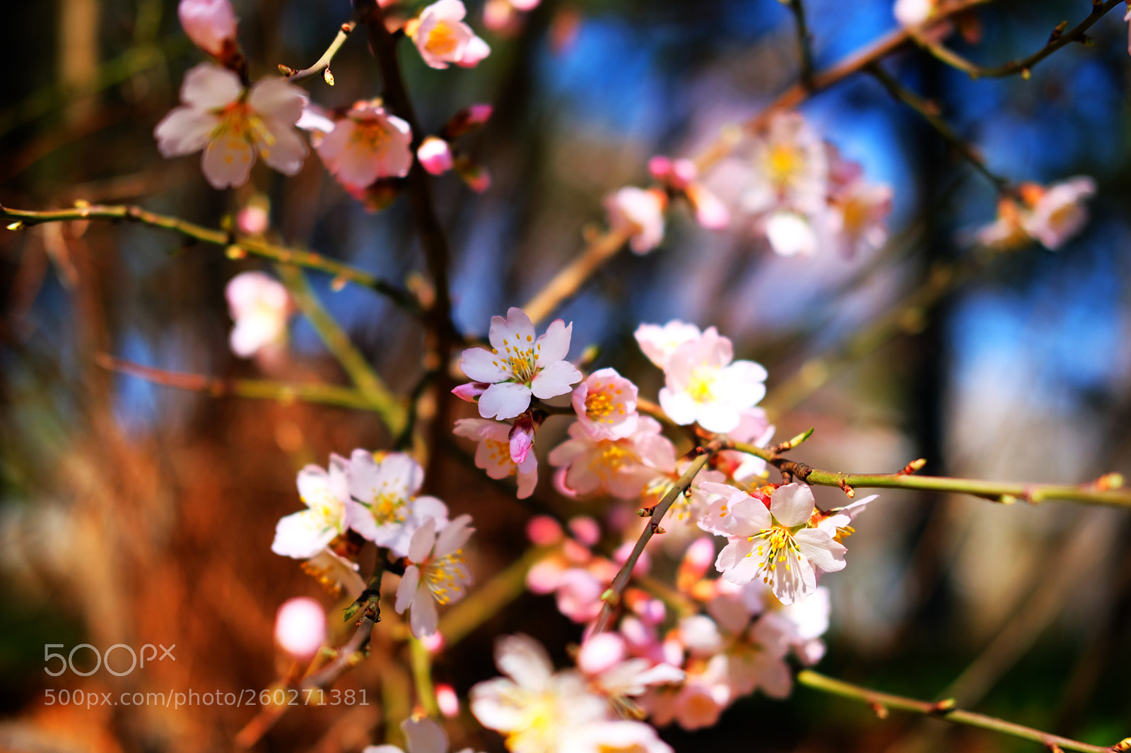 Fujifilm X-T20 sample photo. Untitled photography