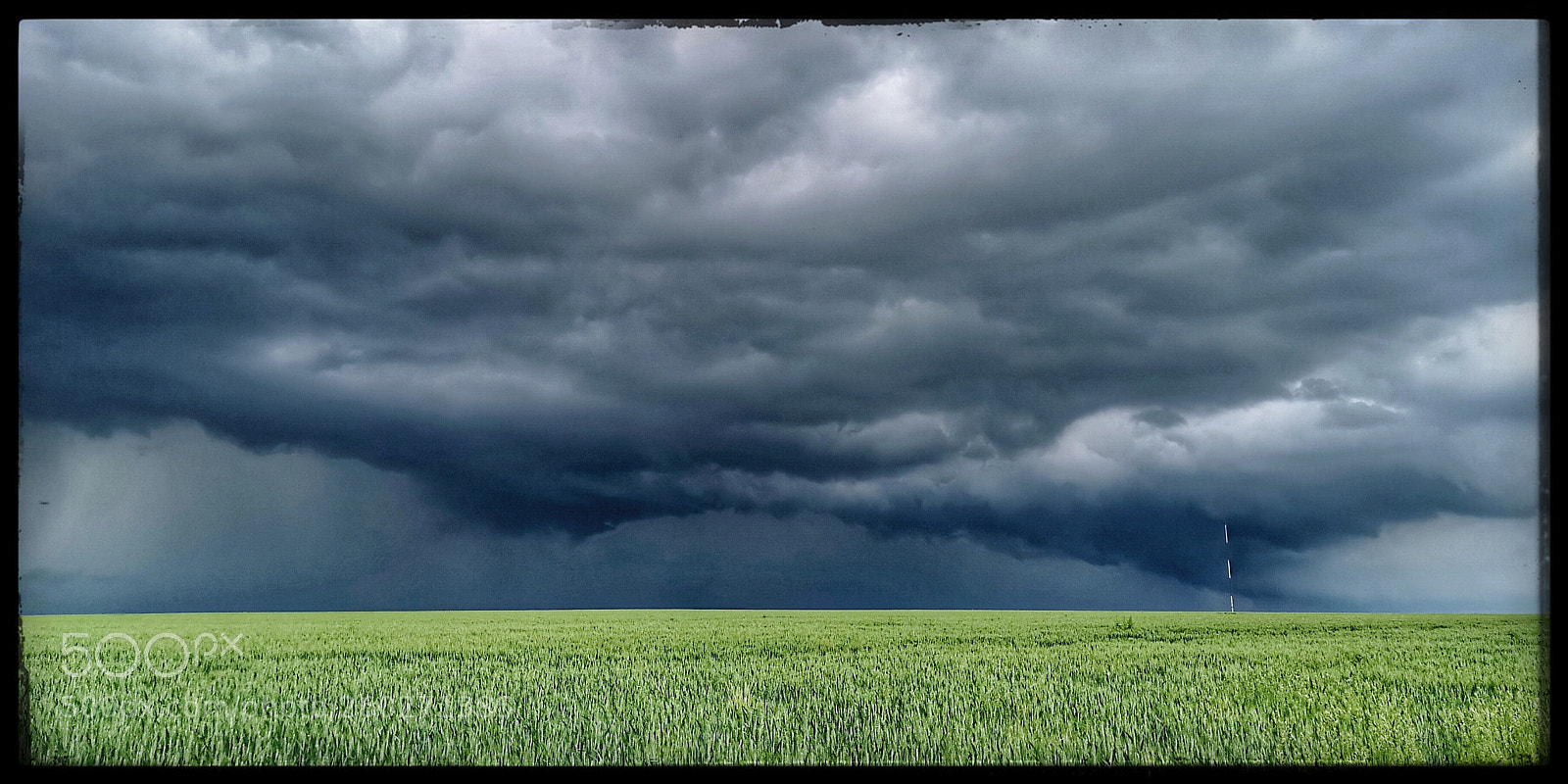 HUAWEI CLT-L29 sample photo. Après l orage photography