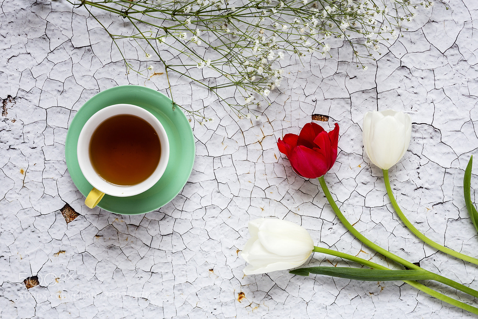 Canon EOS 6D sample photo. Cup of tea with photography