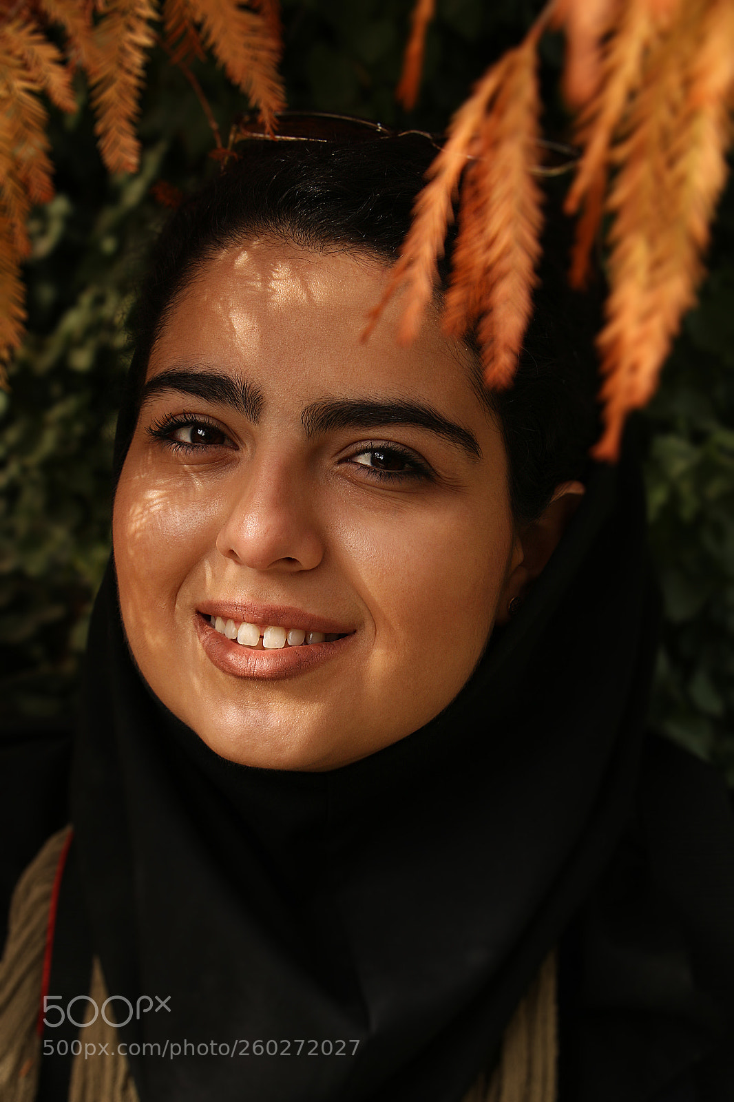 Canon EOS 70D sample photo. Untitled photography
