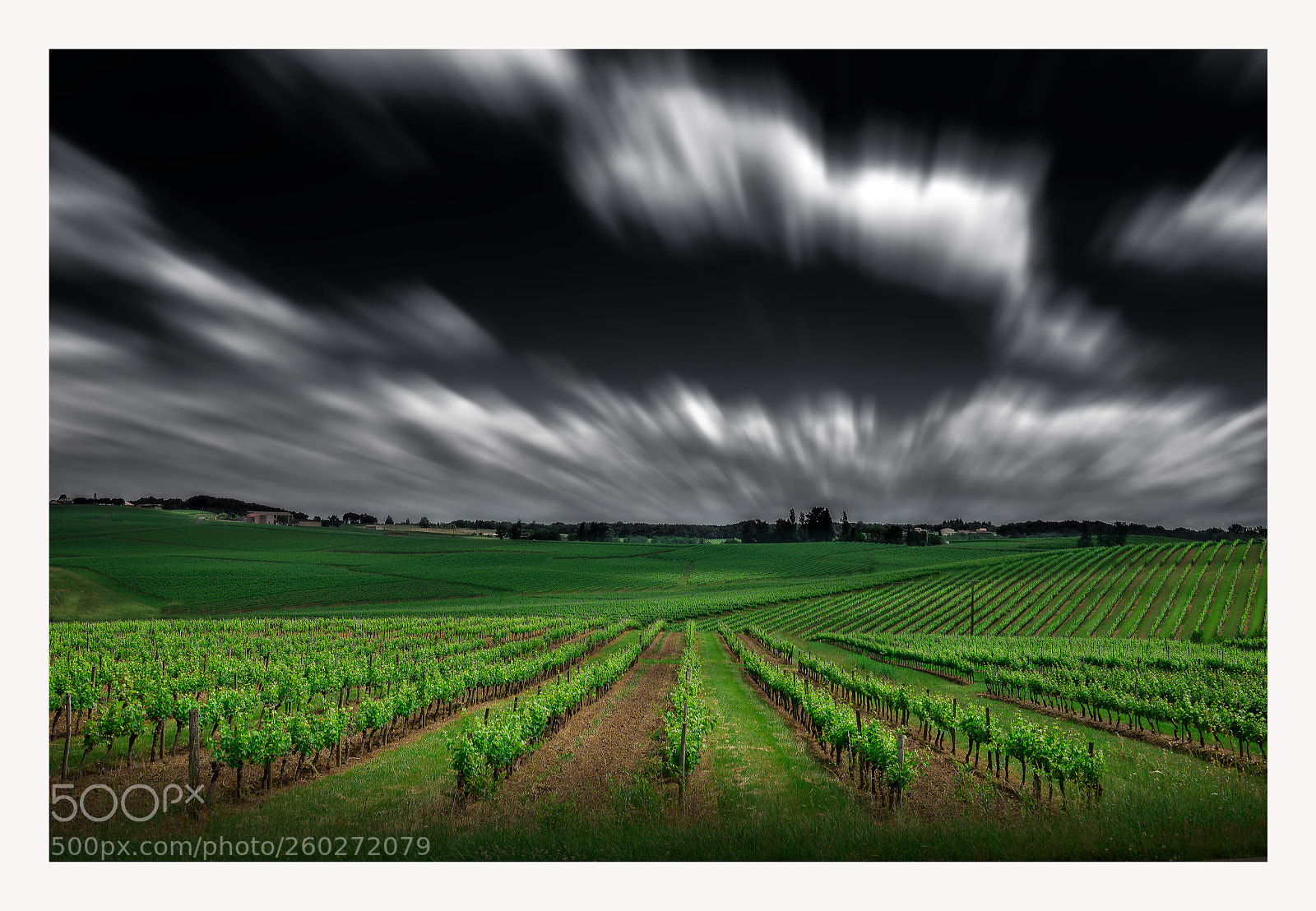 Nikon D800 sample photo. Pian sur garonne, bordeaux photography