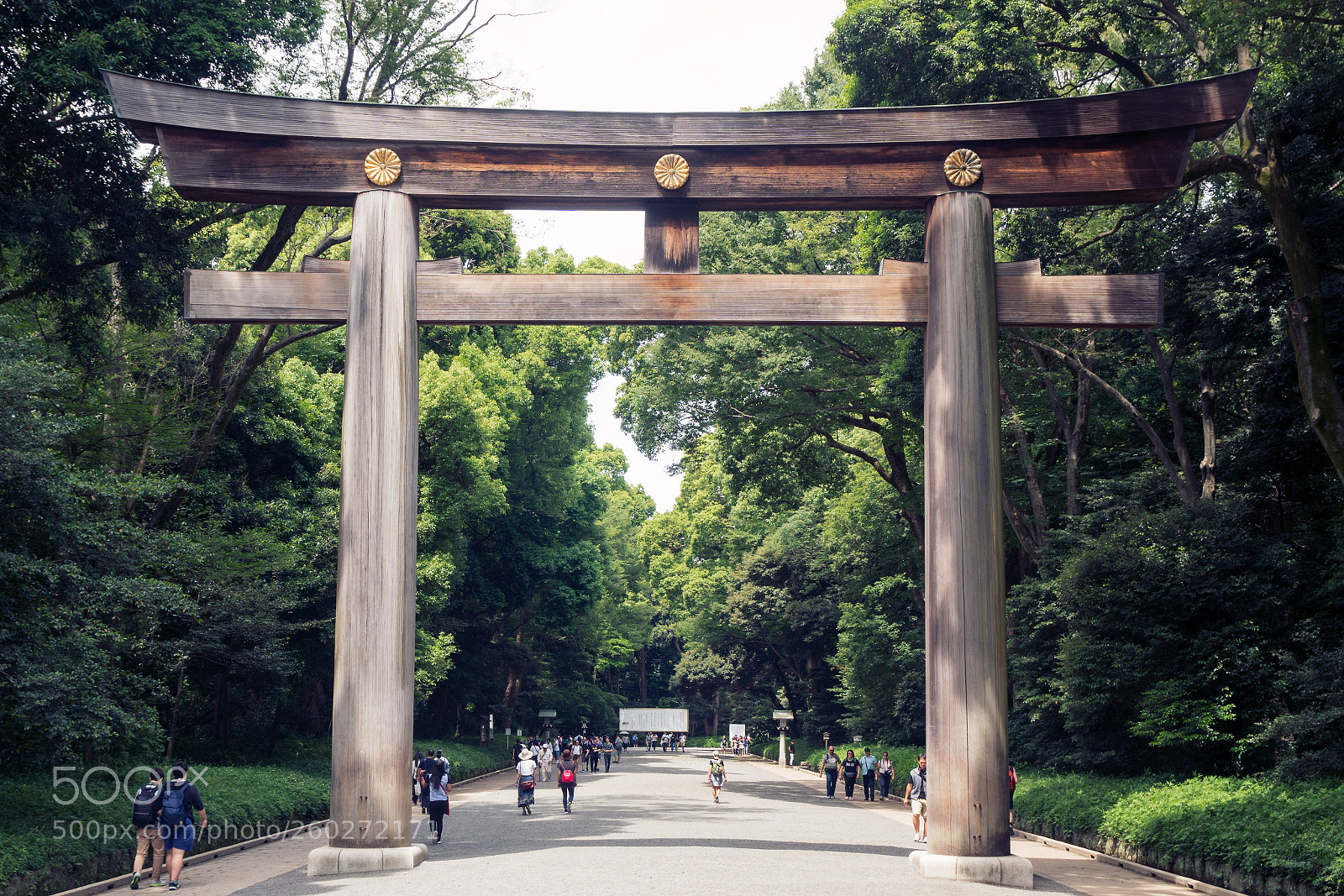 Sony a6300 sample photo. Meiji jingu, tokyo photography