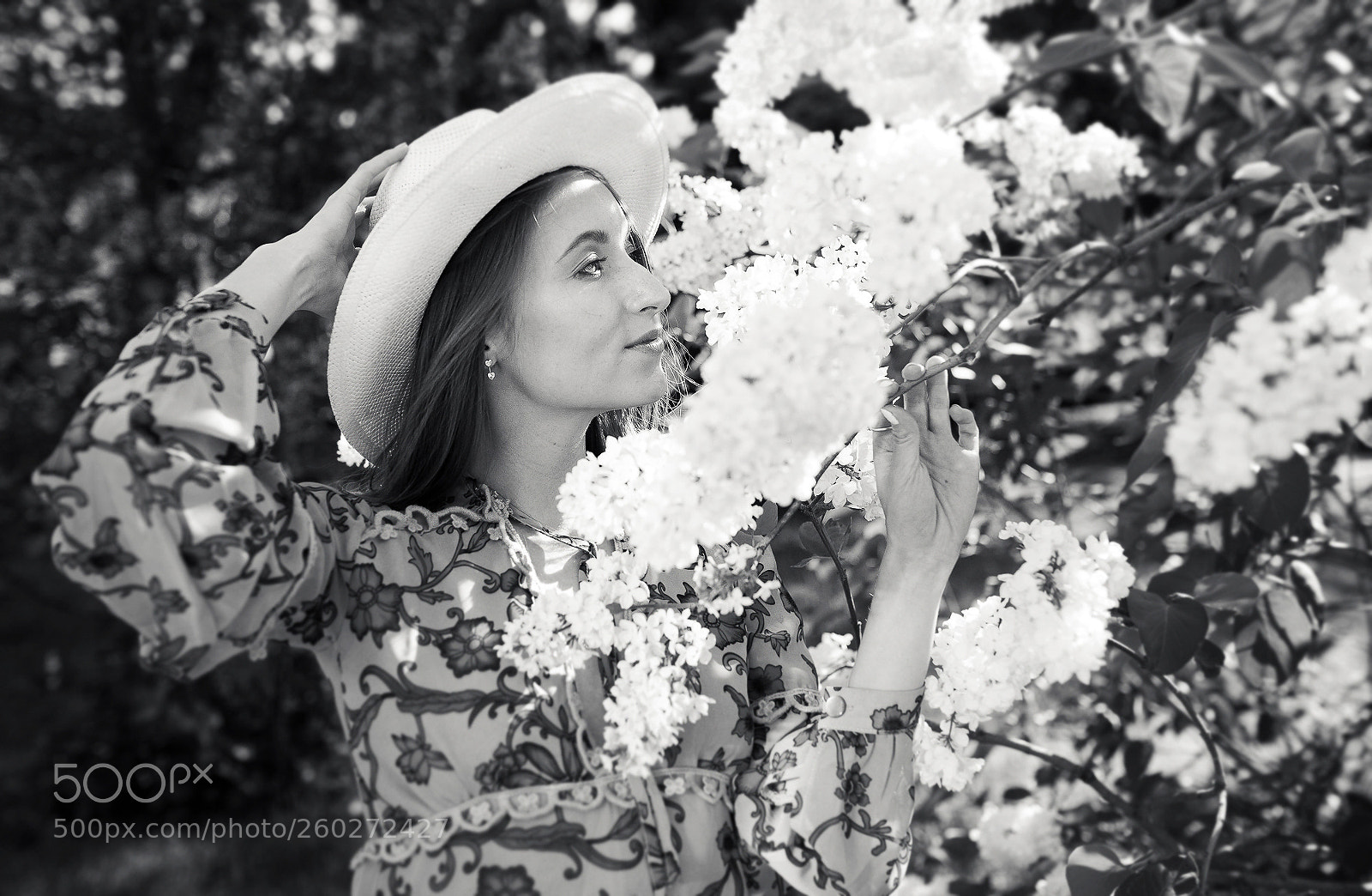 Canon EOS 5D Mark II sample photo. White lilac photography