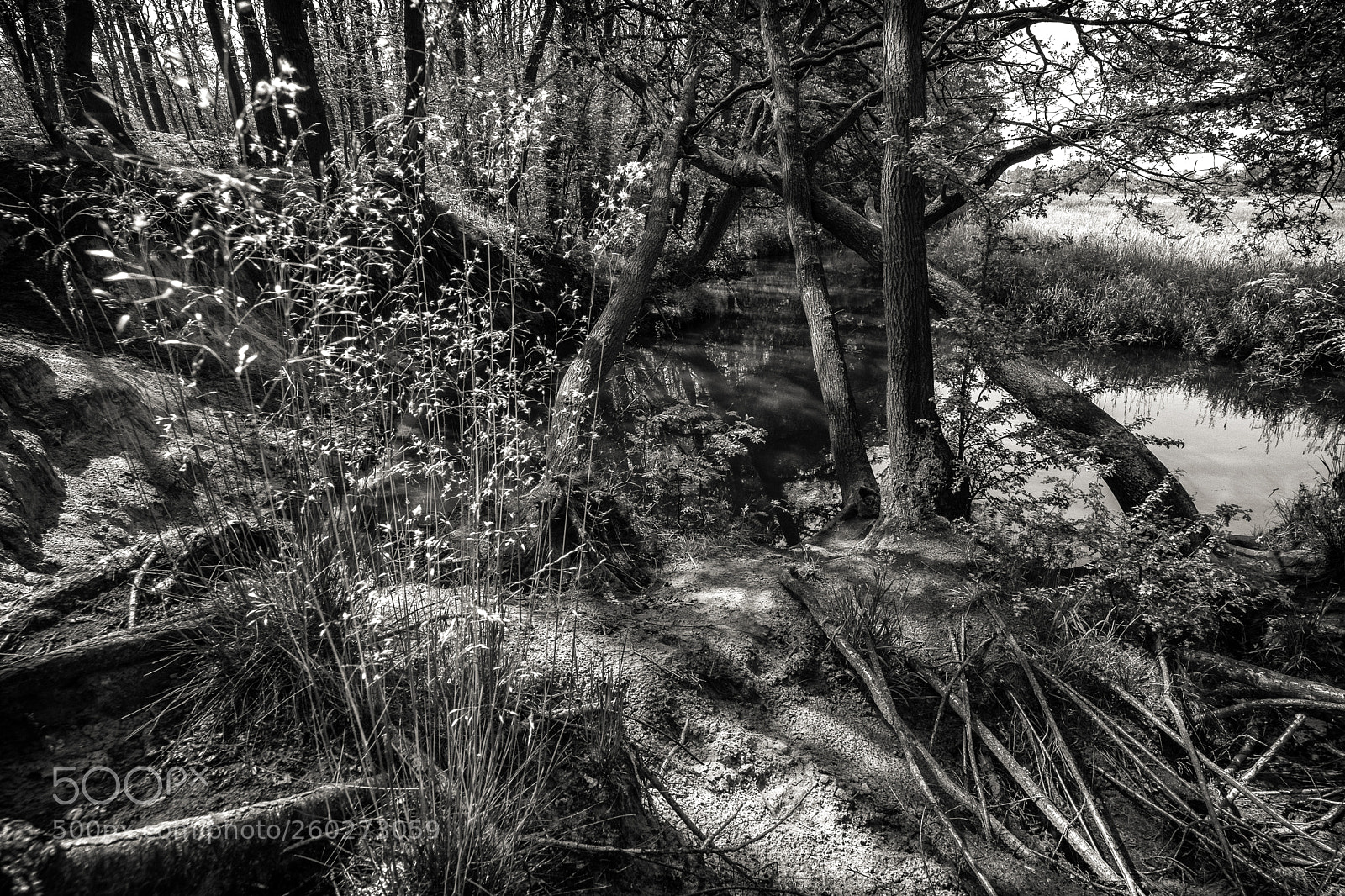 Fujifilm X-H1 sample photo. Dutch landscape photography