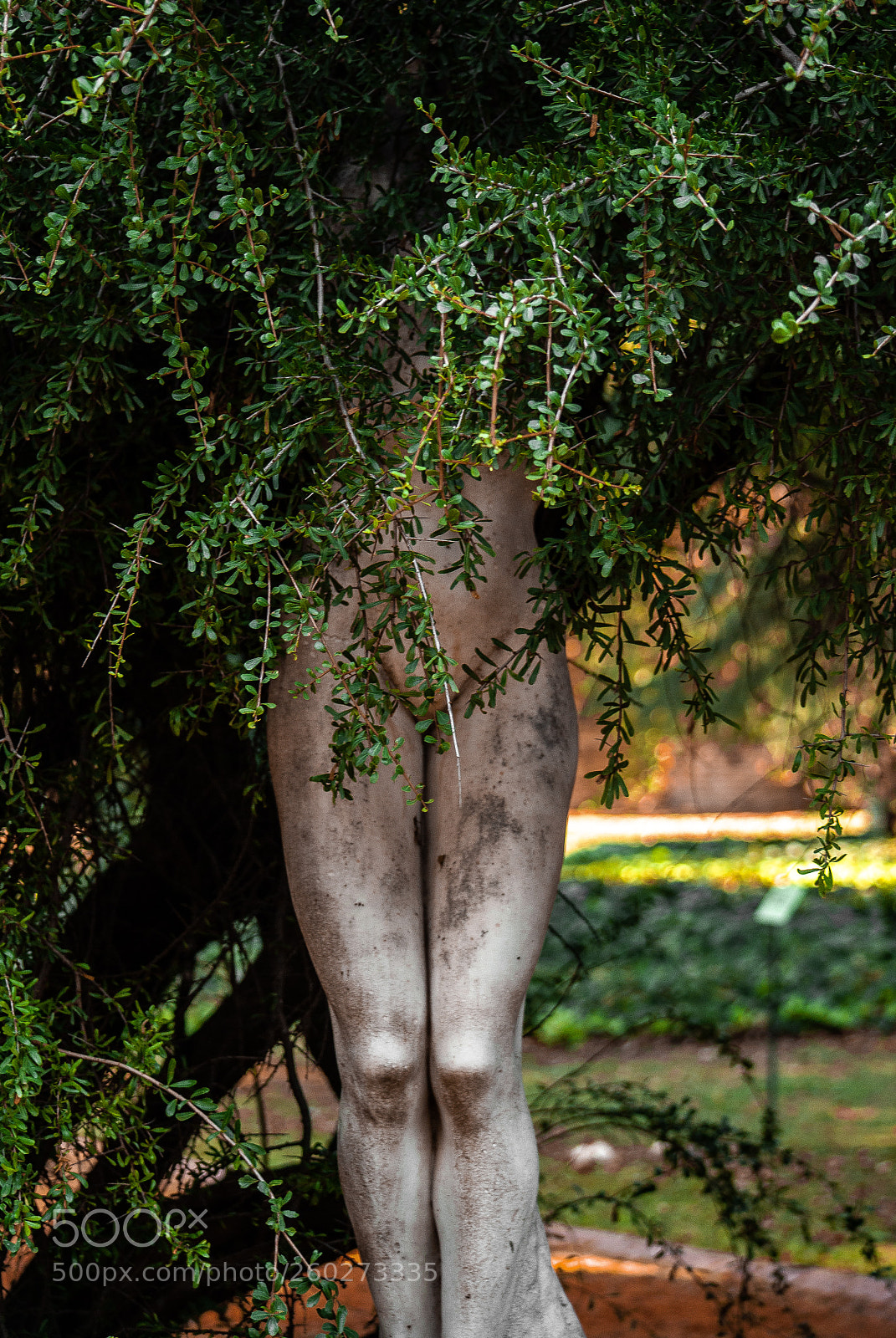 Nikon D3000 sample photo. .la naturaleza es mujer. photography