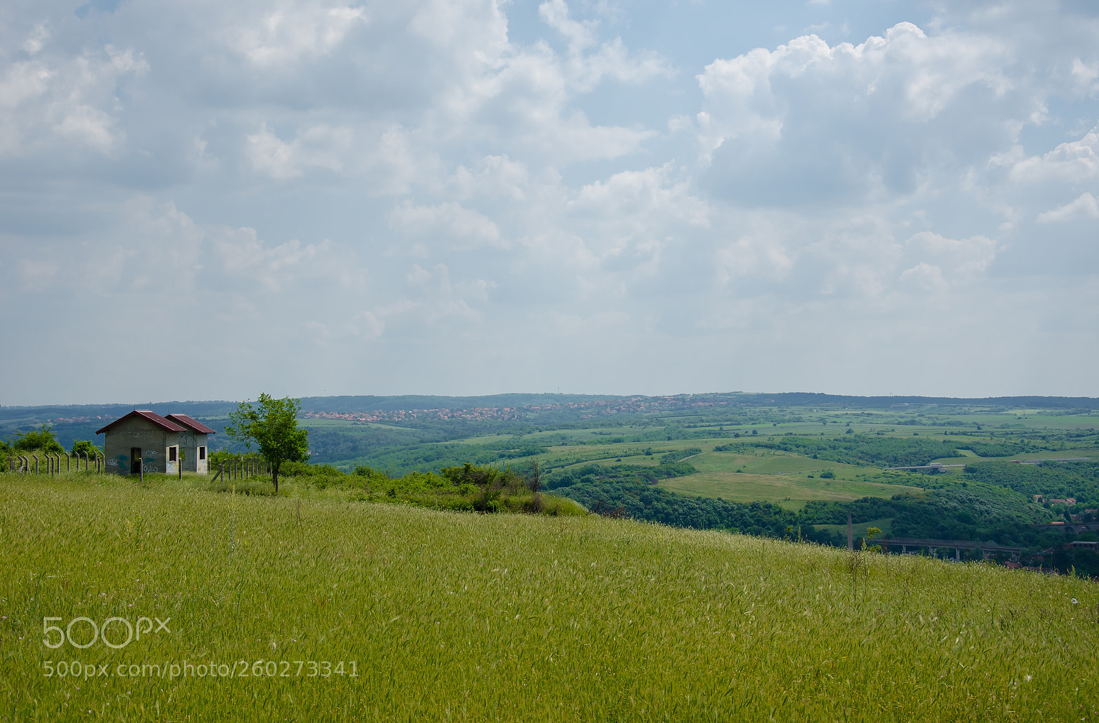 Nikon D7000 sample photo. Strazevica photography