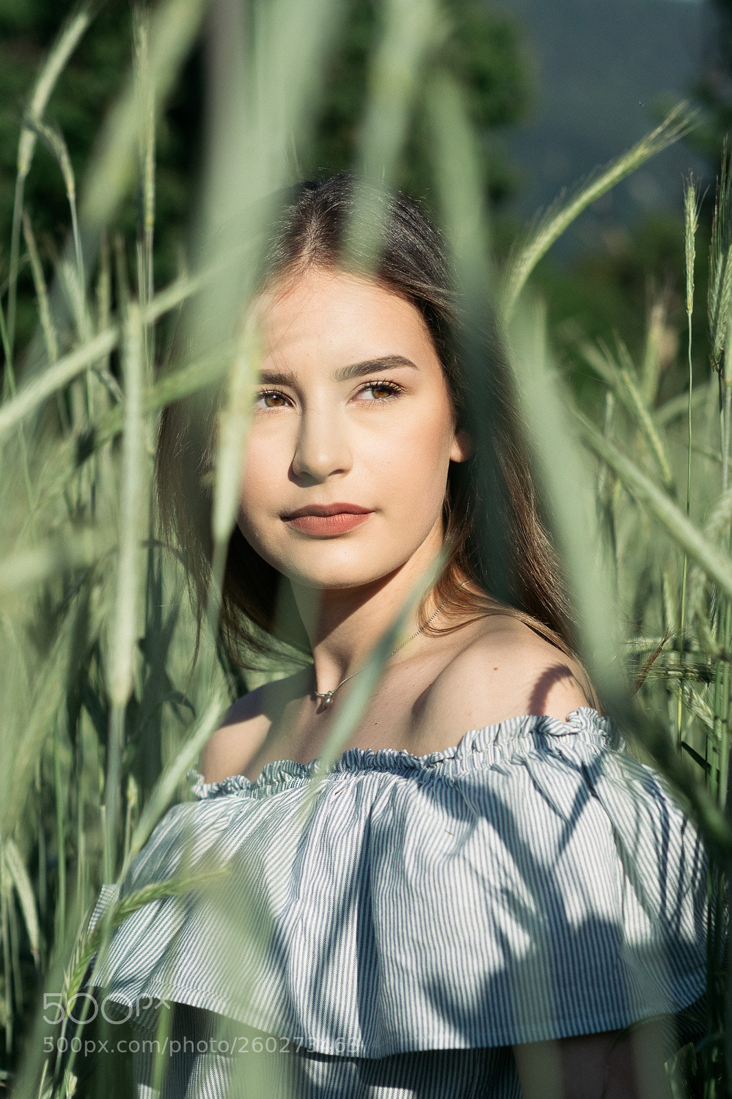 Olympus OM-D E-M5 II sample photo. Cornfield / kornfeld photography