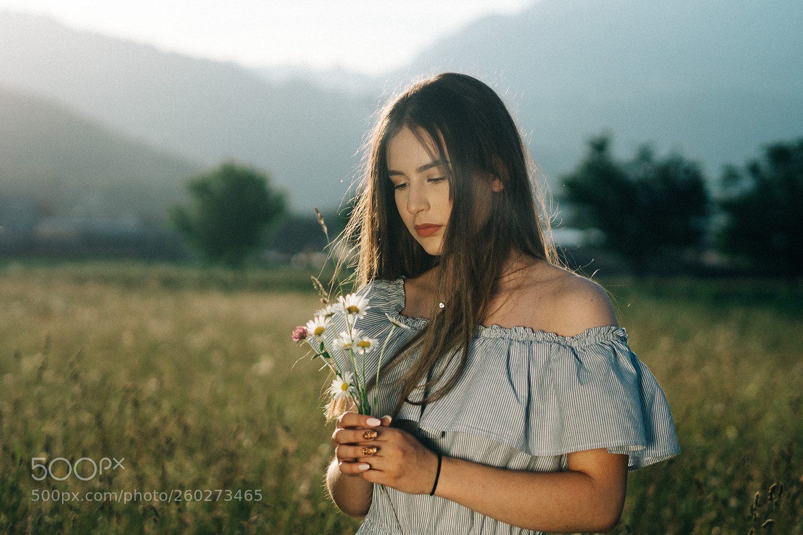 Olympus OM-D E-M5 II sample photo. Cornfield / kornfeld photography