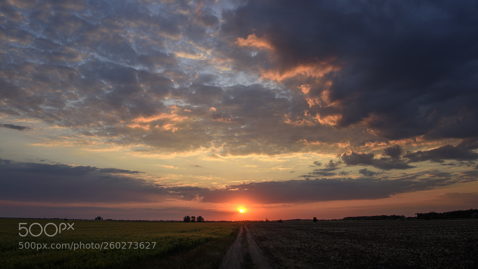 Nikon D810 sample photo. Sun & sky photography