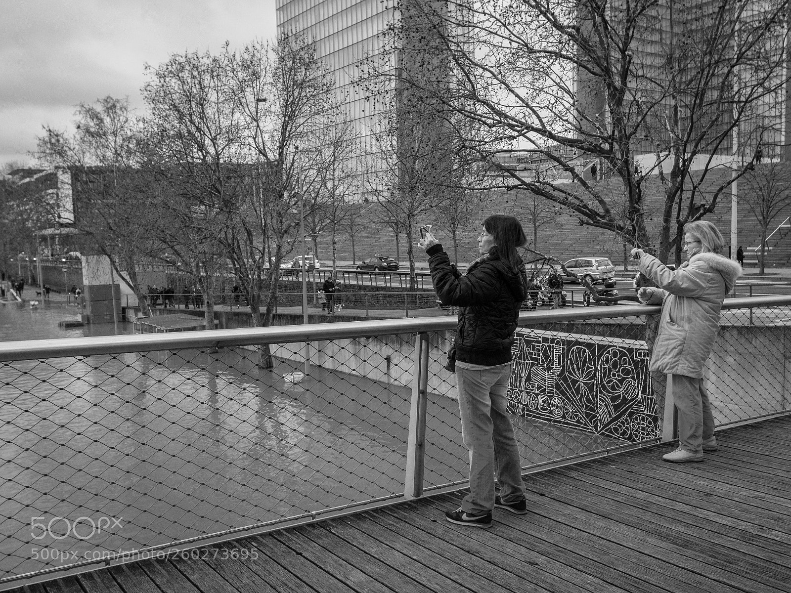 Canon EOS 80D sample photo. Photographing the flooding seine photography