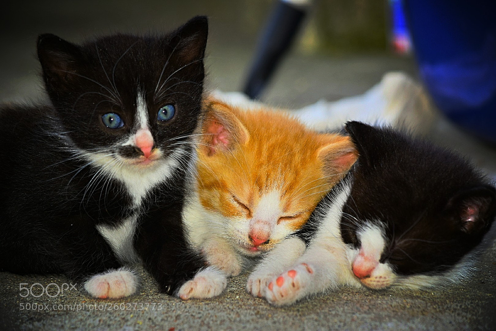 Nikon D5300 sample photo. Ich bin noch nicht photography