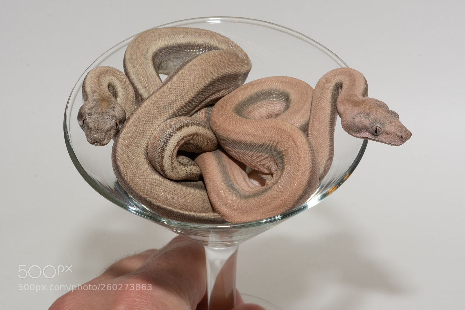 Nikon D7100 sample photo. Vintage photography