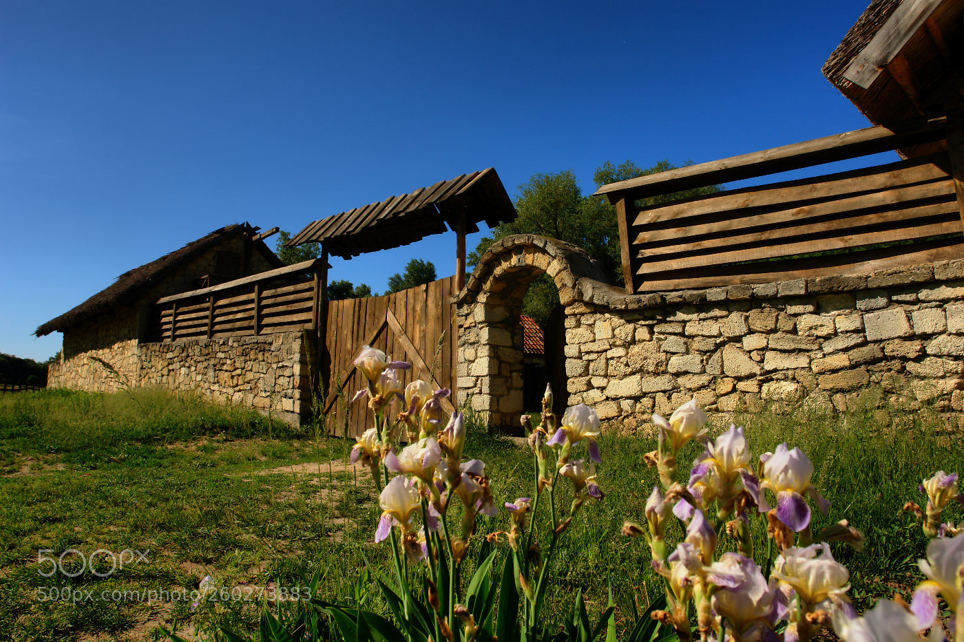Sony DSC-R1 sample photo. Western-ukrainian motive photography