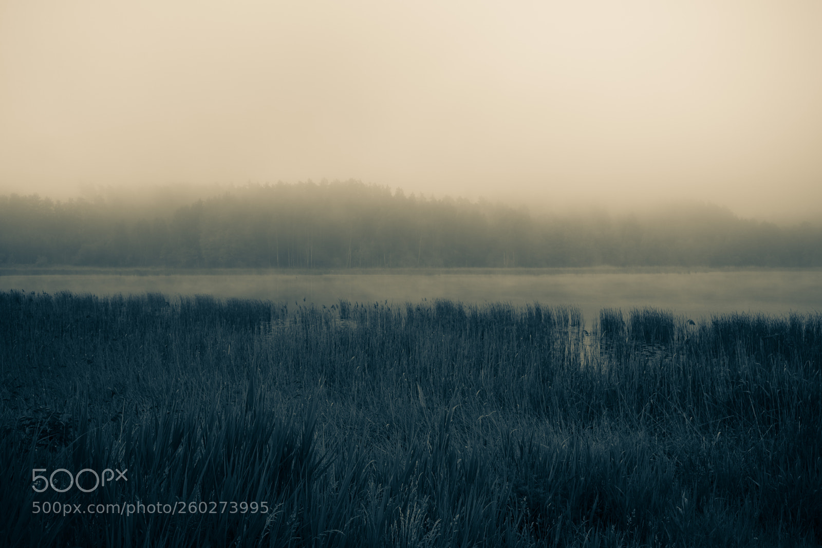 Canon EOS 6D Mark II sample photo. Complete silence photography