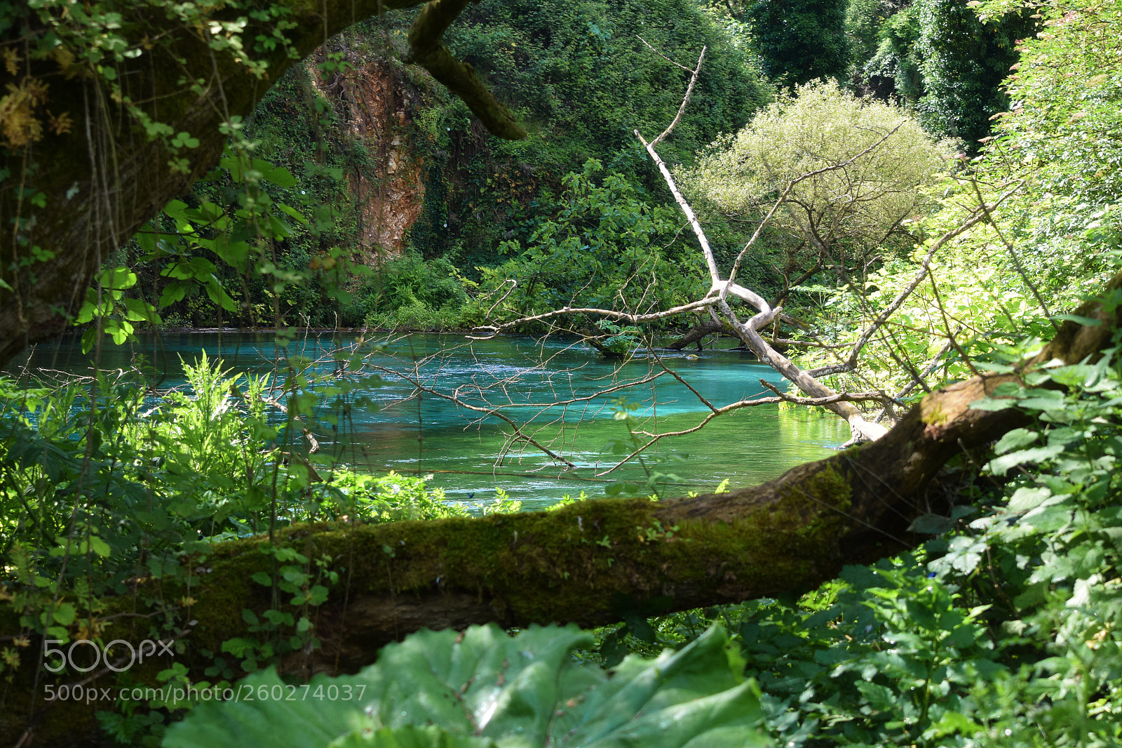 Nikon D5300 sample photo. Clear river in the photography