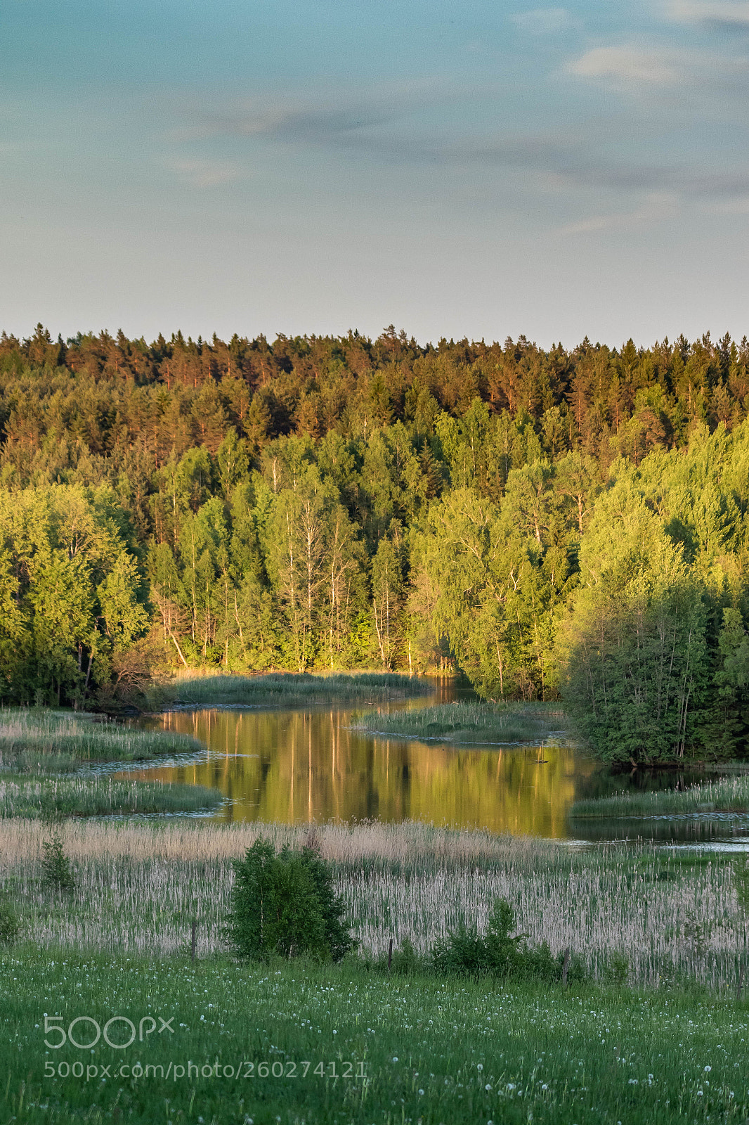 Canon EOS 7D Mark II sample photo. Evening in finland yesterday photography