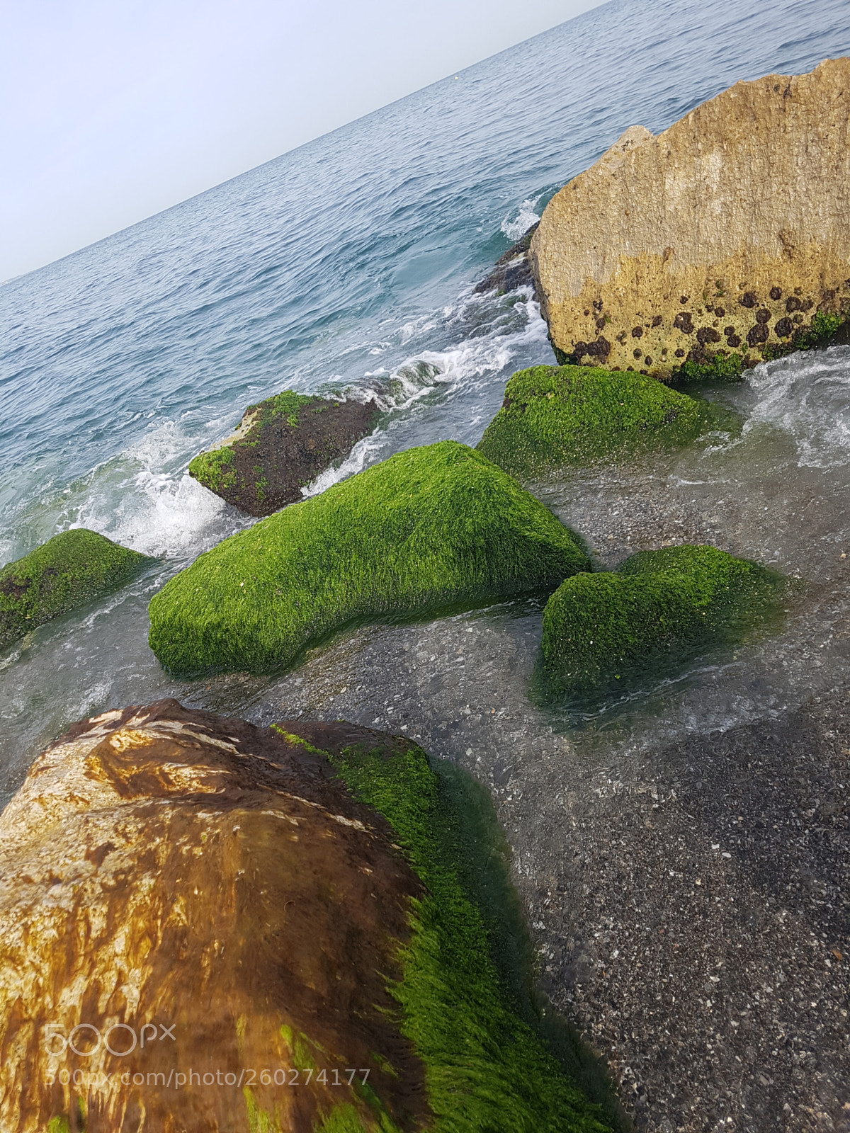 Samsung Galaxy S7 Edge sample photo. Untitled photography