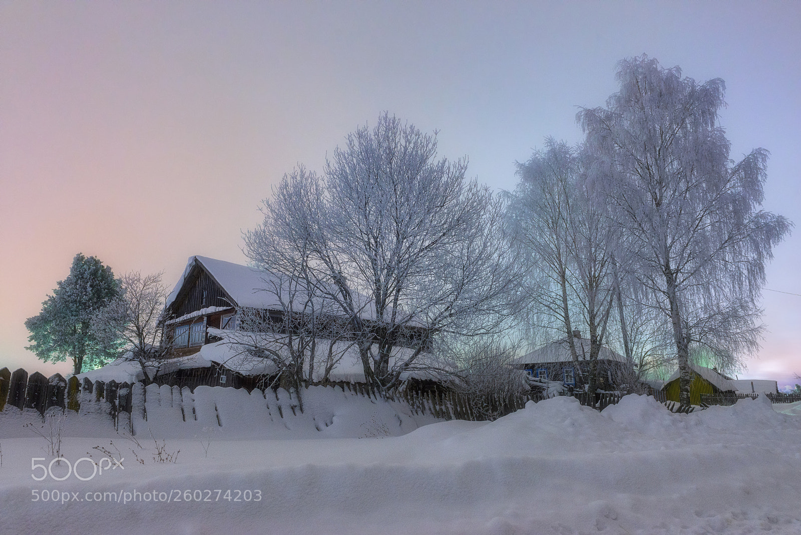 Nikon D610 sample photo. 932. bright evening ii photography
