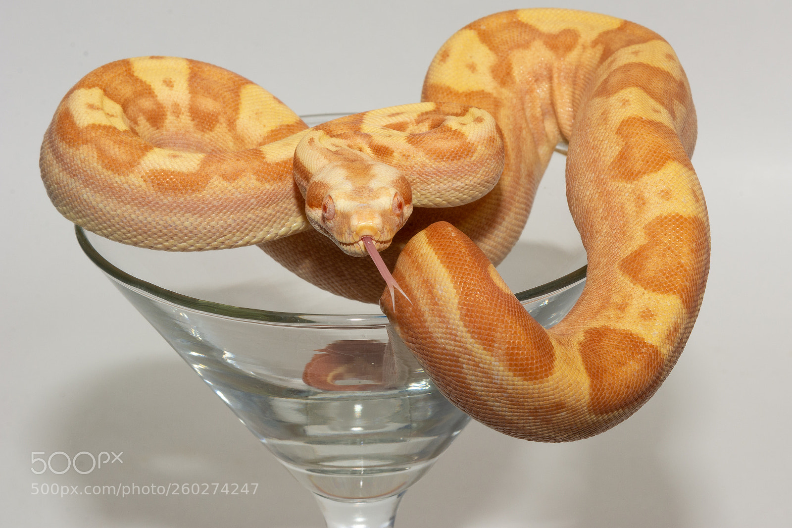 Nikon D7100 sample photo. Boatini photography