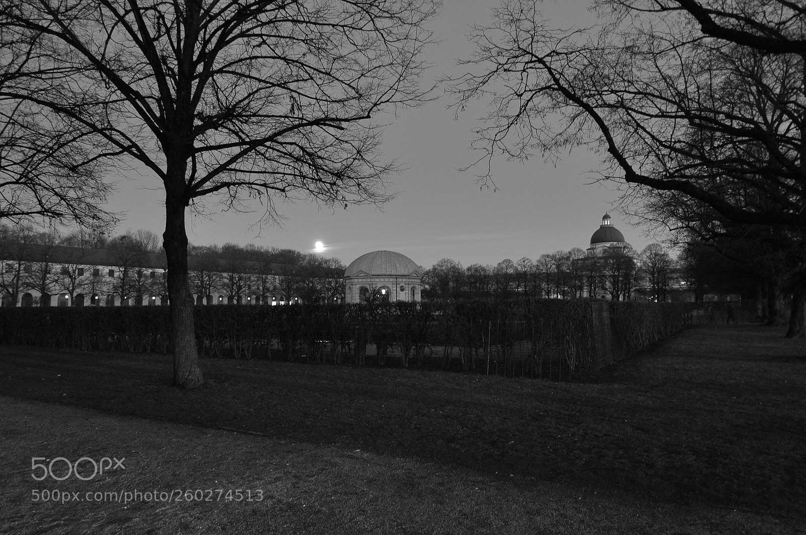 Nikon D90 sample photo. Full moon in the photography