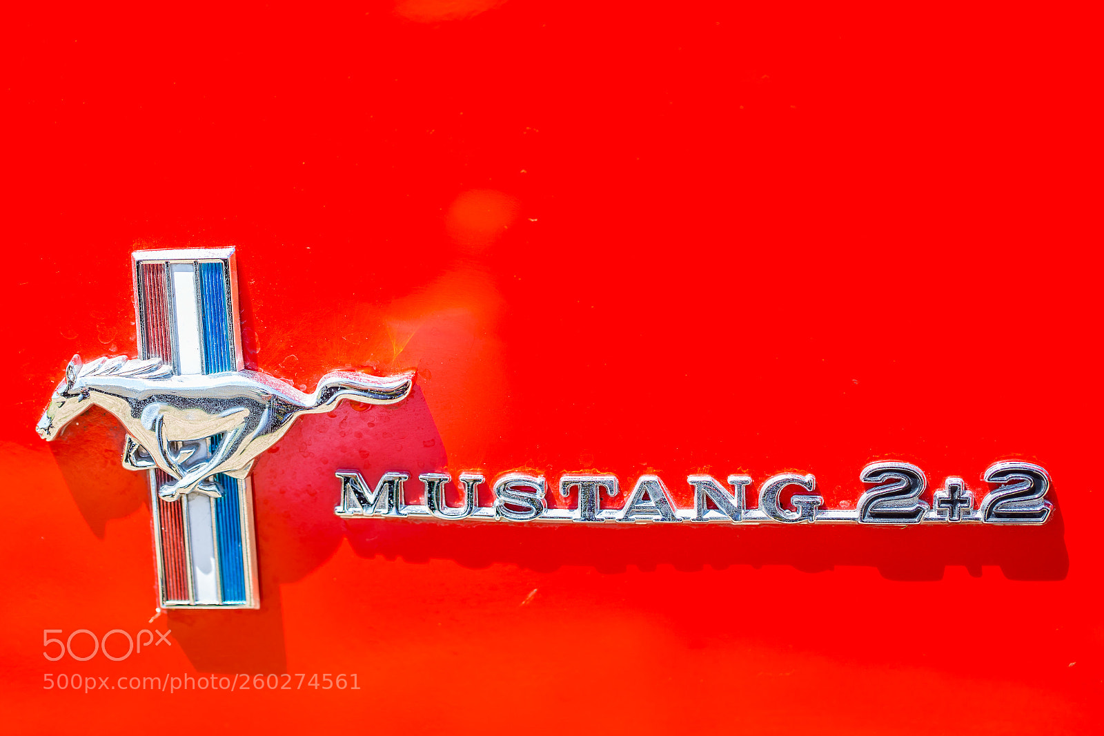 Canon EOS 6D sample photo. 1965 ford mustang 2plus2 fastback photography