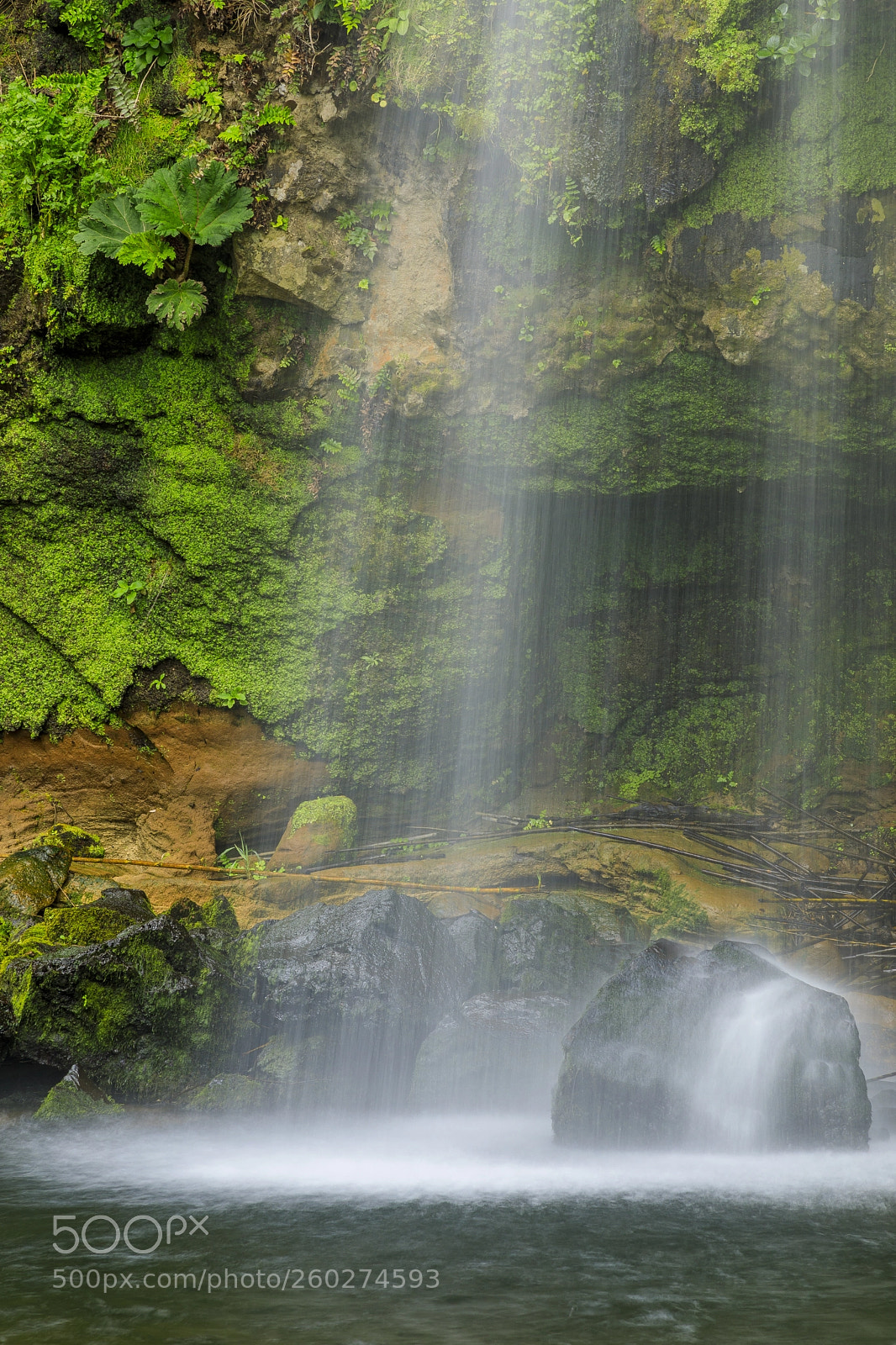 Canon EOS 5D Mark IV sample photo. A ores-s o miguel-miradoura photography