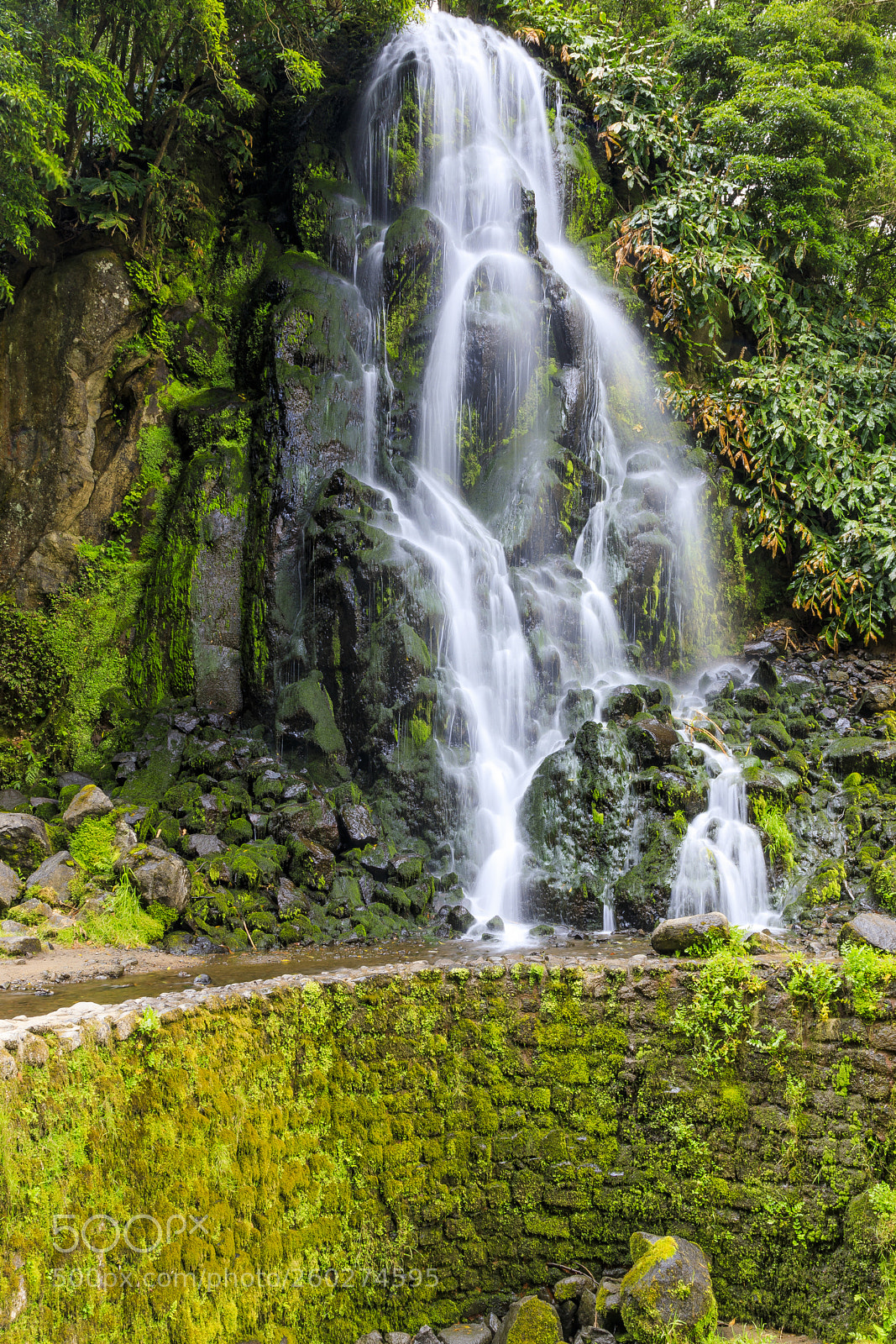 Canon EOS 5D Mark IV sample photo. A ores-s o miguel-parque photography