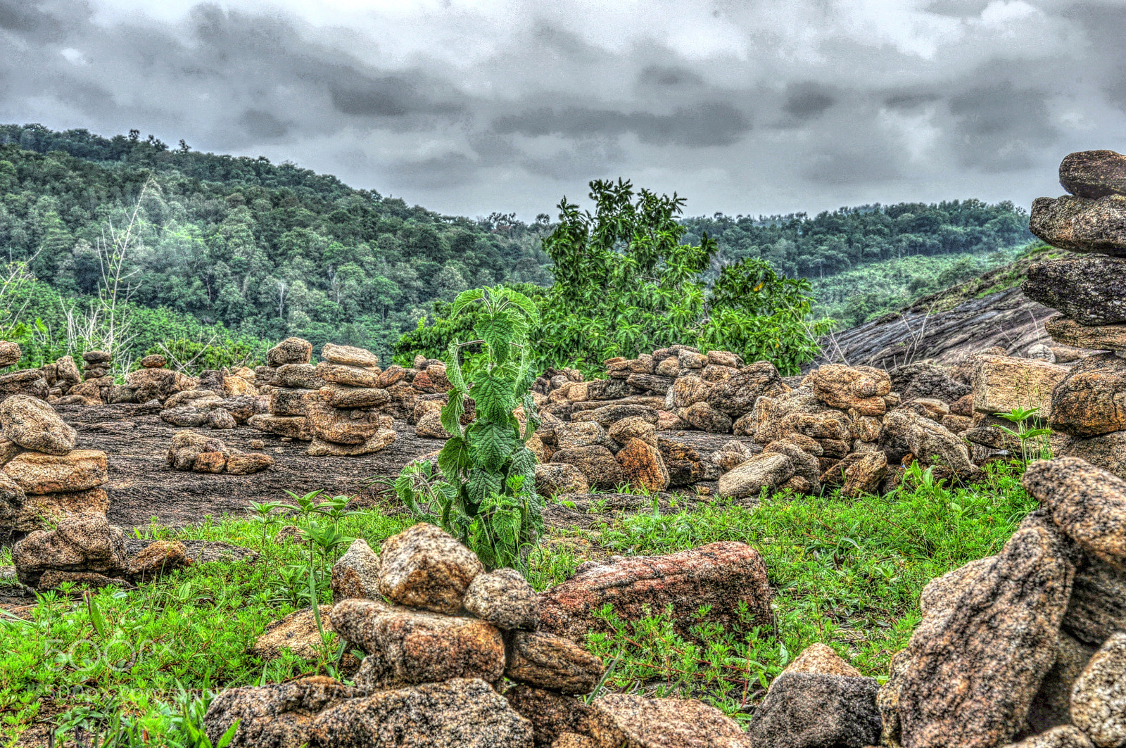 Nikon D90 sample photo. Beauty of gods own photography